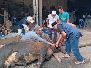 Drs. H Margono MM, Ketua Yayasan Universitas Batuta Berkurban 11 Ekor Sapi di Idul Adha 2024.
