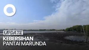 Melihat Pantai Marunda di Jakarta Utara yang Kian Bersih