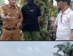 Kepala Desa Bagan Limau Meredang adanya Aktifitas Alat berat Masuk dalam kawasan Taman Nasional Tesso Nilo,