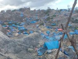 SOMASI Jakarta Desak Panglima TNI Evaluasi Dandim 1506/Namlea dan Tindak Tegas PETI Gunung Botak