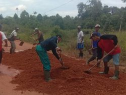Camat Singkep Selatan Bersama Kades Marok kecil dan warga Remik Melakukan Giat Gotong Royong Menutup jalan yang berlobang
