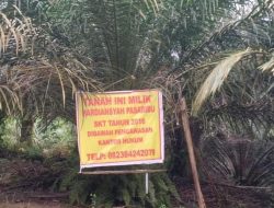 Kades Segati diduga bisa keluarkan Surat tanah dengan dua nama yang berbeda dalam Satu lahan.