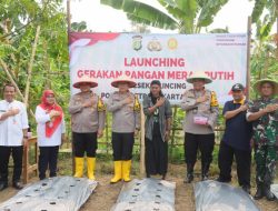 Kegiatan Launching Gerakan Pangan Merah Putih Polsek Cilincing