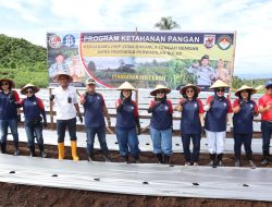 Program Ketahanan Pangan, Zona Bakamla Tengah Tanam 10.000 Bibit Cabai.