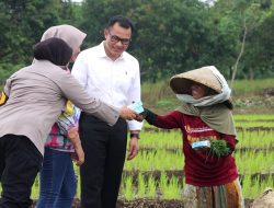 Kapolresta Cirebon Bersama Pj Bupati Cirebon Temui Ibu di Sawah, Semangati Tetap Gigih Bekerja di Hari Ibu
