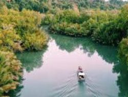 Survei CNN, Pandangan Masyarakat Banten dan Jakarta Terkait Ecowisata Green Coastland