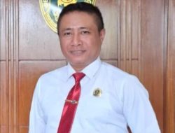 SOMASI : Pangkalan Kayu Diduga Ilegal di Halmahera Selatan Menjamur