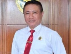 Puluhan Pangkalan Kayu di Halsel Diduga Ilegal, Dimana Aparat Penegak Hukum