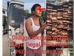 A. Siregar Diduga Gembong Mafia Kayu Ilegal Hutan, Bersama 1 Unit Mobil Truk Bermuatan, APH Diminta Tegas.