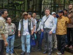 Menteri Kehutanan : Perdagangan Karbon Sektor Kehutanan Segera Diresmikan