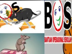 Ispektorat dan APH Diminta Usut Dugaan Penyalahgunaan Dana BOS di SDN 313 Kaliba