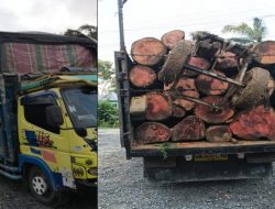 Mobil Membawa Kayu Gelondongan Diduga Tangkap Lepas Oleh Polres Inhu Riau.