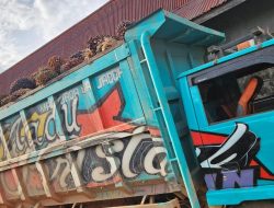 Tertangkap Tangan Lakukan Pencurian Massal Buah Sawit, Dua Orang Warga Marau Di Amankan Polres Ketapang