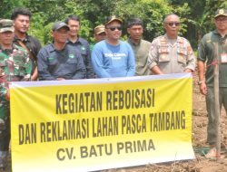 Tegas, Peduli akan Kelestarian Lingkungan, Forkopimcam Tomo Lakukan Reboisasi di Lahan PT Batu Prima 