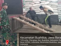 Danramil 1008/Buah dua Bersama Babinsa, PPL Pertanian, dan Bulog Laksanakan Serapan Gabah dan Beras
