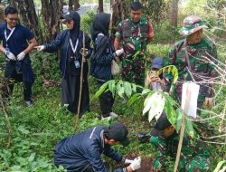 TNI dan Mahasiswa Kompak Naik Gunung, Tanam 1000 Pohon di Manglayang Timur