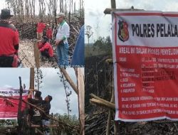 Tim Desa Lubuk Kembang Bunga & Kepolisian Ikut Serta Padamkan Kebakaran di Hutan TNTN