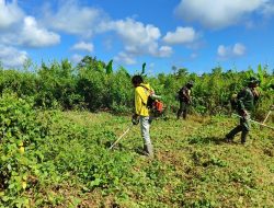Sukseskan Program Hanpangan, Satgas TMMD Ke-124 Bersama Warga Buka Lahan Tidur Menjadi Lahan Produktif