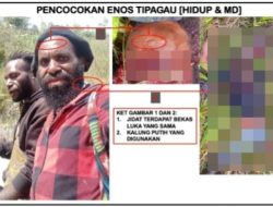 Prajurit TNI Lumpuhkan Tokoh OPM Enos Tipagau di Intan Jaya