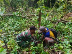 Satgas TMMD 125 Kodim 1506/Namlea Melaksanakan Tanam Bibit Pohon Keras Dengan Target 10.000 Pohon