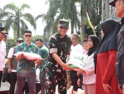 Sinergi TNI-Bulog Perkuat Ketahanan Pangan dan Kendalikan Harga