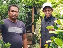 Silahturahmi Ketum PSBB HKS Dengan Nandi Flora Pelaku UMKM tanaman Hias di Kembangan