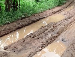 Warga Masyarakat Desa Cilograng Dan Desa Lebak Tipar Harapkan Gubernur Banten Perhatikan Infrastruktur Jalan Poros Desa