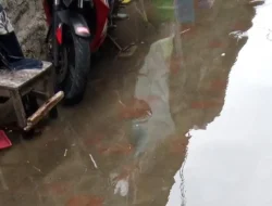 Nah Loe … Banjir ROB Merata di Wilayah Kepulauan Seribu