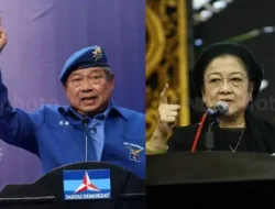 Beda Demokrat dan PDIP Saat Berkuasa soal Pemberian Konsesi Hutan