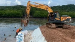 Prof Sutan Nasomal Desak Presiden Prabowo Perintahkan Penertiban Tambang Bauksit di Dabo Singkep