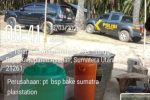 Panen Sawit di Lahan Eks HGU PT BSP Asahan Kembali Terjadi, Kehadiran Personil Polsek Parapat Janji Sorotan Warga