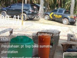 Panen Sawit di Lahan Eks HGU PT BSP Asahan Kembali Terjadi, Kehadiran Personil Polsek Parapat Janji Sorotan Warga