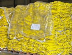 Pemberantasan PETI Tak Maksimal, Distribusi Kimia Berbahaya Masih Bebas Melenggang