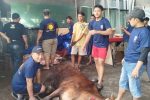 Jamaah Mushola Roudotul Jannah Tunjukkan Kemandirian Total dalam Pemotongan Hewan Kurban