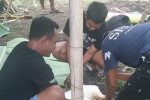 Gemah Takbir Mengiringi Semangat Warga Untuk Menyembelih Hewan  Qurban
