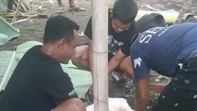 Gemah Takbir Mengiringi Semangat Warga Untuk Menyembelih Hewan  Qurban