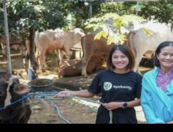 INDODAX Bagikan Kebahagiaan Idul Adha Lewat Program Kepedulian Sosial di Aceh