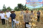 Polres Sumedang Intensifkan Pemeliharaan Tanaman Jagung untuk Dukung Ketahanan Pangan Nasional