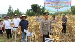 Polres Sumedang Intensifkan Pemeliharaan Tanaman Jagung untuk Dukung Ketahanan Pangan Nasional