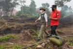 Menhut Raja Antoni Pantau Langsung Karhutla Kubu Raya Kalbar, Pendinginan Dimassifkan