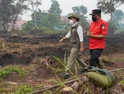 Menhut Raja Antoni Pantau Langsung Karhutla Kubu Raya Kalbar, Pendinginan Dimassifkan
