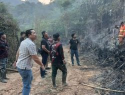 Polda Jambi Tangani Karhutla Seluas 5 Hektare di Areal PT Jebus Maju Merangin