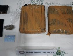 POLDA METRO JAYA BERHASIL MENGUNGKAP PEREDARAN 2,05 KILOGRAM GANJA, 1 Pria Diamankan 